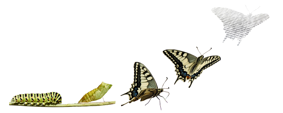 Digital Transformation